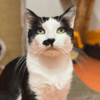 BENNY