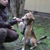 Igor,verschmust und sportlich