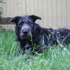 Winnie, noch sehr ängstlich