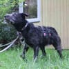 Winnie, noch sehr ängstlich
