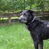 Winnie, noch sehr ängstlich