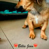 Billie Jean und das Herz macht boom-boom-boom