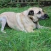 Ares, su. liebevolles Zuhause