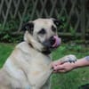 Ares, su. liebevolles Zuhause