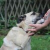 Ares, su. liebevolles Zuhause