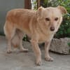 Romy -sucht Menschen mit Herz und Geduld