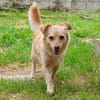 Romy -sucht Menschen mit Herz und Geduld