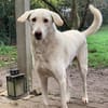 Orkun sucht geduldige Menschen