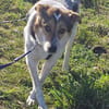 Fidji - unkompliziert sucht Dich