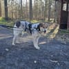 Fidji - unkompliziert sucht Dich