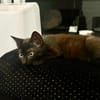 BELLA A TROUVE SA FAMILLE
