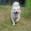Menschenfreund Shorty will seine eigene Familie