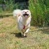 Menschenfreund Shorty will seine eigene Familie