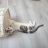 Lucky