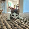 Momo & Luna suchen gemeinsam ein Zuhause