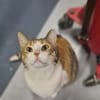 Emma Glückskeks sucht Jackpot