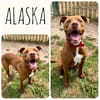 Alaska