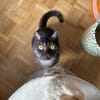 EULALIE