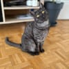 EULALIE
