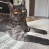 EULALIE
