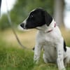Bella - will die Welt entdecken!