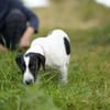 Bella - will die Welt entdecken!