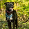 aktiver OREO sucht erfahrene Menschen