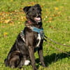 aktiver OREO sucht erfahrene Menschen