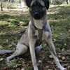 Kirin sucht tolle Menschen