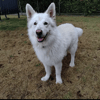 Rio
