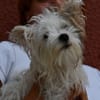 Jack (en cours d'adoption)