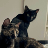 JASMIN ET MARGUERITE