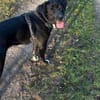 Mokka sucht ein neues Zuhause
