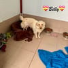Sanfte Belly aus dem Kofferraum