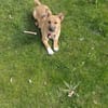 Zauberhafte kleine Marla