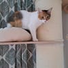 Belinda sucht Zuhause zum Ankommen