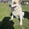 ❤🐾 CORA, 7 Jahre, 35/38cm