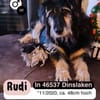 Sanfter RUDI sucht seine Menschen