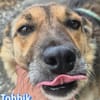 Vermittlungshilfe Toobik; Unternesselbach