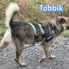 Vermittlungshilfe Toobik; Unternesselbach