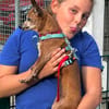 Tammi sucht eine Adoption auf dem Weg ins Glück