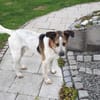 Hast Du für Ben noch ein Körbchen frei?