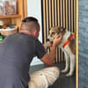 sanfter lieber hübscher Jamie auf PS in 80999