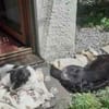 ISSKO * freundlicher Bub im besten Alter