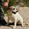 Gomez, freundlich, offen, neugierig