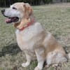 MAX  Senior sucht Altersruhesitz