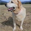 MAX  Senior sucht Altersruhesitz