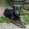 Happy wartet in 97513 Michelau