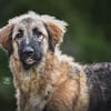 Lilù wünscht sich eigene Familie