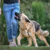 Lilù wünscht sich eigene Familie